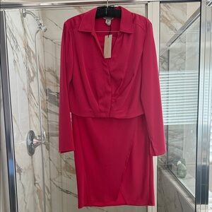 Rachel Zoe💖 2 piece Vibrant Pink Long Sleeve Dress